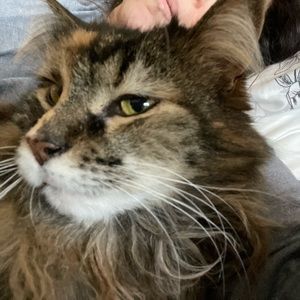 Meet your Posher, Sunya